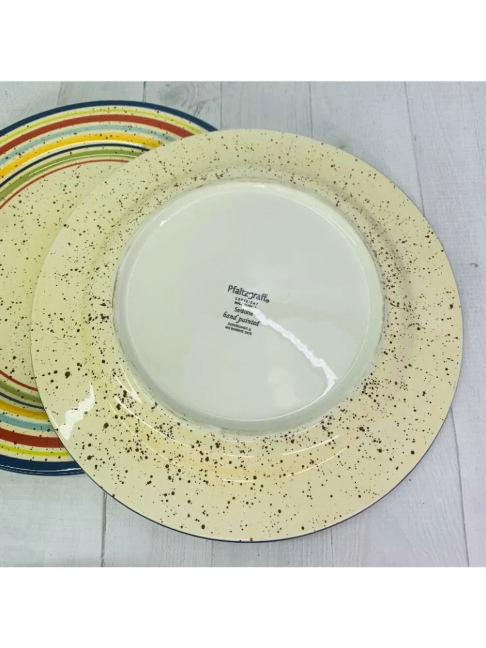 Pfaltzgraff SEDONA Stoneware Hand Paint Stripe Speckle Round Dinner Plates Set 4
